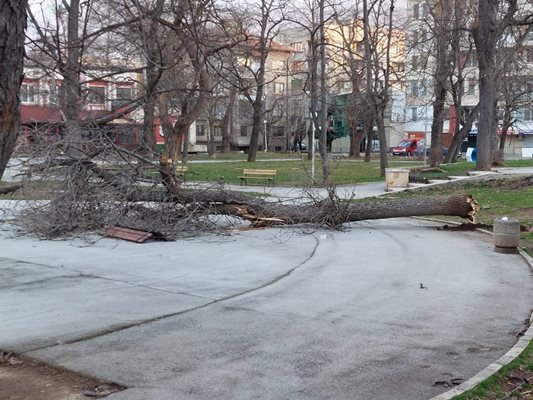Ураганният вятър във Враца с над 130 км в час продължава да нанася сериозни щети в града