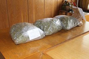 Полицаят, арестуван  с 1,8 кг марихуана, обвинен за разпространение на дрога