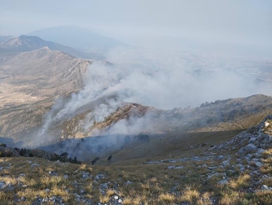 Пожарът на границата ни с Гърция Снимка: Архив