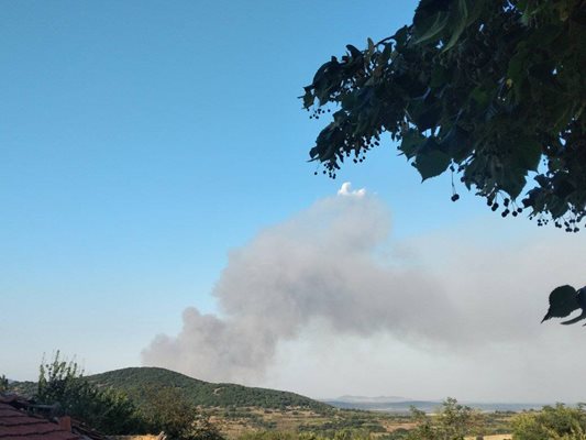 Пожар в гора между пазарджишките села Калугероо и Лисичово СНИМКИ: Фейсбук/ Аз съм от Пазарджик