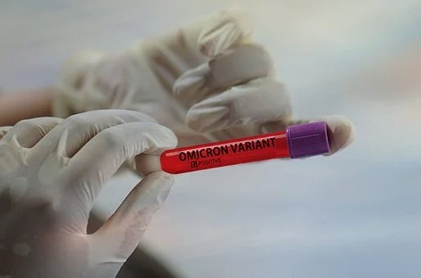 В София и в област Бургас е идентифициран подвариант ВА.4 на варианта "Омикрон" на коронавирусната инфекция.
Снимка: Пиксабей