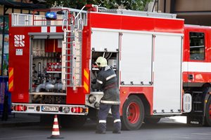 Пожарникари от Сливен спасиха котка, паднала в шахта