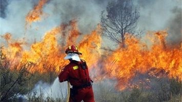 Избухна пожар в предприятие в Пловдив