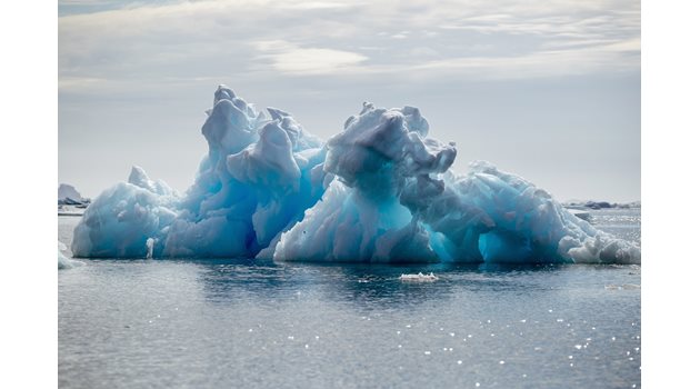 Ледовете в Гренландия изчезват, а в Антарктида се топят само в частта откъм Аржентина и Чили.