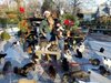 Американец осигури земен рай за 300 котки в дома си (Снимки)