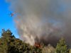 Двата горски пожара край Атина са овладени