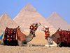 Туроператор АБАКС отбеляза силен старт на продажбите по дестинация Египет