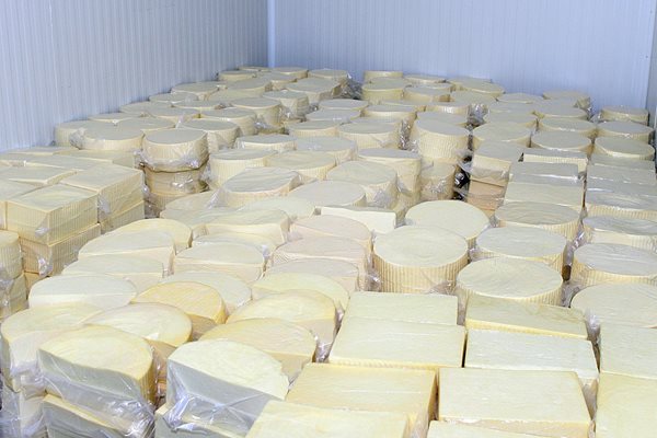 Производителите на сирене и кашкавал все по-трудно намират прясно мляко за продукцията.