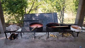 Фестивал на лютеницата събра стотици в с. Логодаж