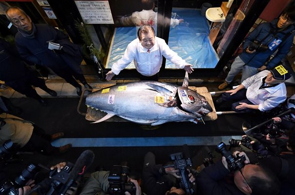 Риба тон бе продадена за 1,8 милиона долара