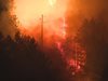 Над 200 души и 14 автомобила гасят пожара край Стара Кресна