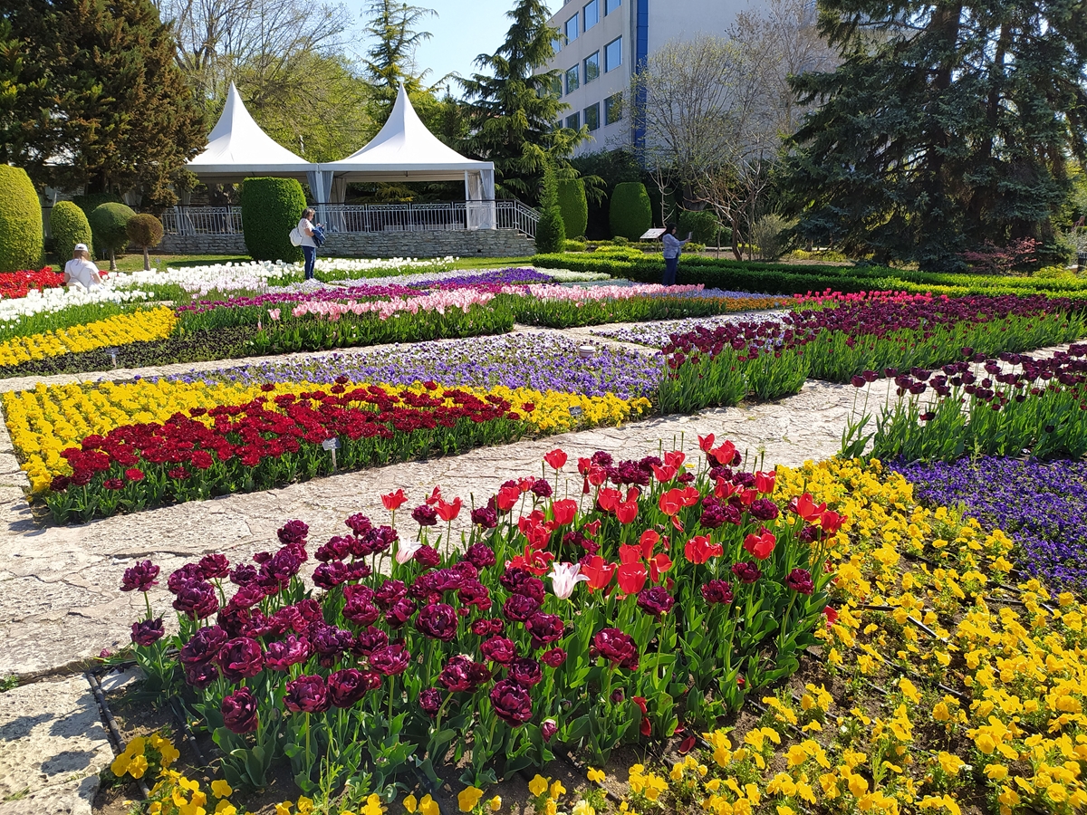 Гледките на 4-те сезона: Ботаническа градина в Балчик