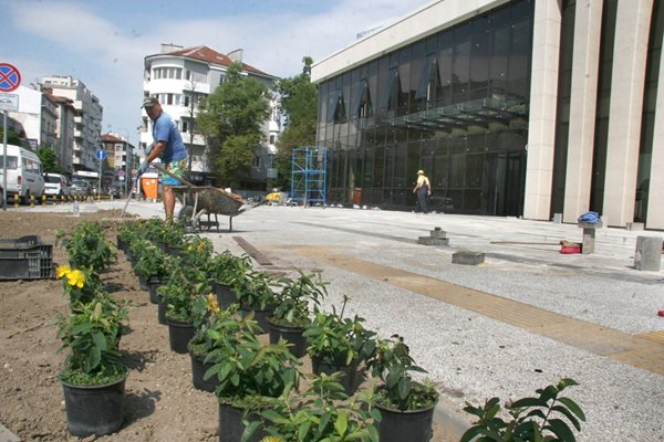 Вече засаждат цветя и храсти пред другата нова галерия на ул. "Гладстон".