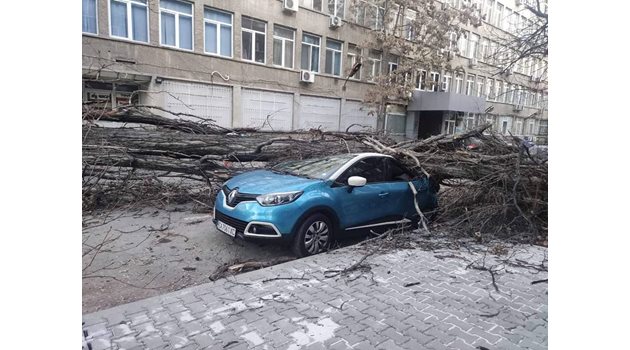 Тази кола бе смачкана от паднало дърво близо до Полиграфическия комбинат в София.

СНИМКА: ФЕЙСБУК ГРУПАТА “НАШАТА УЛИЦА
“ЦАР ИВАН АСЕН II”
