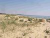 Министерството на околната среда и водите: "Камчийски пясъци" отново е защитена местност