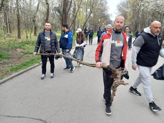 Пловдивчани носят изсъхнали дървета.