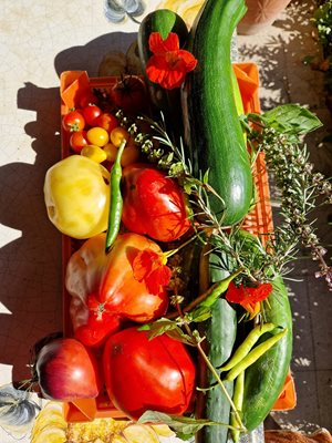 Йорданка Благоева отглежда  домати, краставици, тиквички, люти чушки и различни видове подправки.