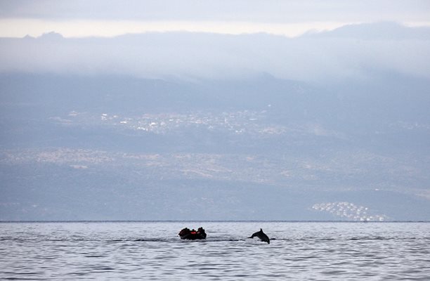 Делфин изкача от водата в Егейско море пред лодка, пълна с мигранти от Сирия