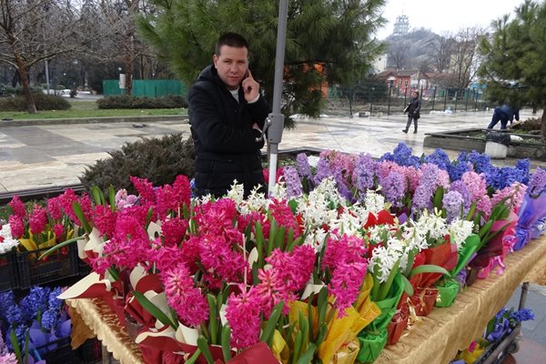 Делчо Петров от Хасково е наредил зюмбюлите си на площада в Пловдив и чака купувачи.