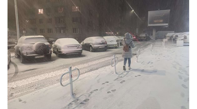 Сняг заваля и в София.
СНИМКА: Богомила Костадинова