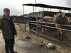 Фермер от Нова Загора на протест срещу ниските изкопни цени, подарява мляко