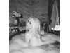 Кристина Агилера разпали мъжките фантазии - позира чисто гола във ваната (Снимки 18+)