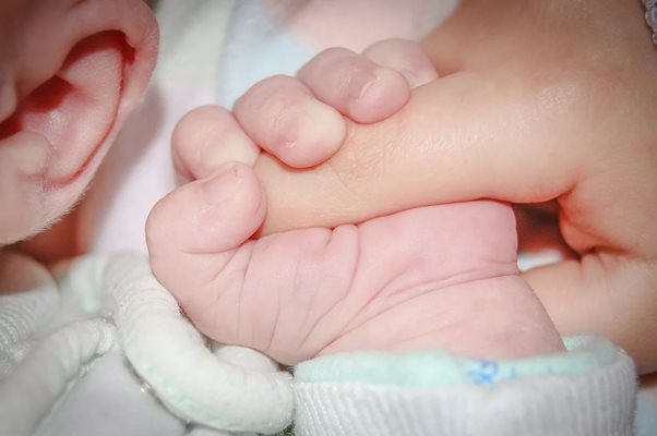 В страната ни през миналата година са родени 6500 недоносени деца
СНИМКА: Pixabay