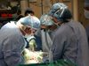 България намесена в разследване за нелегални трансплантации на японци