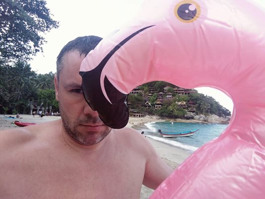 Хазарта гушка фламинго в Тайланд