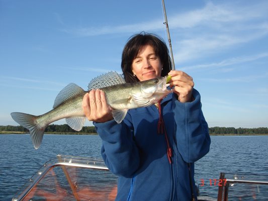 Риболовът на бяла риба почва от 1 юни