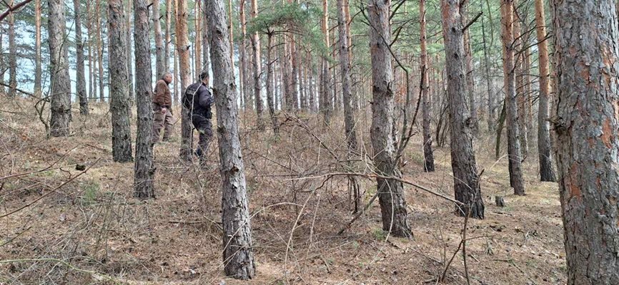 Горски служители в акцията по издирване на Ивана от Дупница.