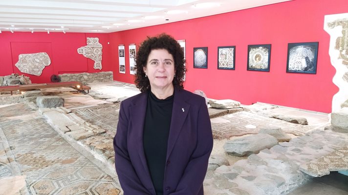 Реставраторът на мозайките и директор на "Старинен Пловдив" доц. Елена Кантарева разказва как са били спасени от багерите.