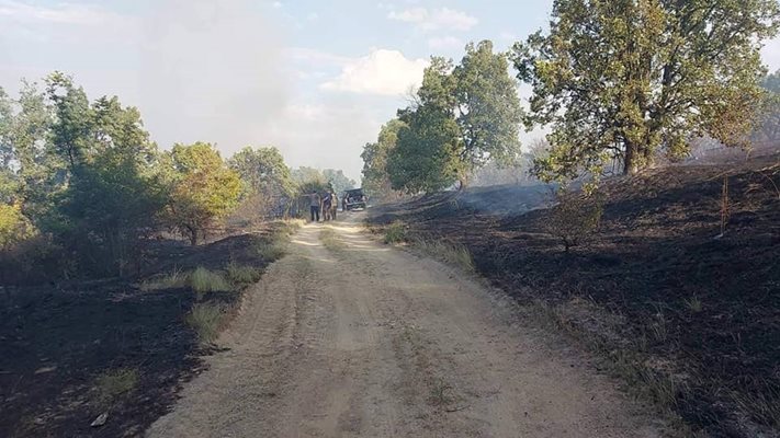 Започва обхождането на изгорелите терени край Калояново.