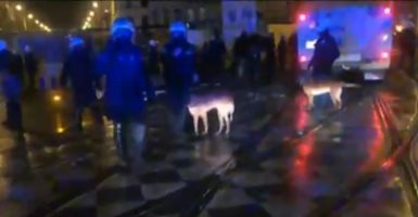 Полицията в Брюксел е на крак преди мачовете на Белгия и Мароко в Катар