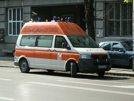 Двама пострадаха при пожар в Пловдивско