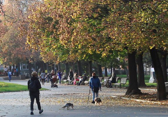 Октомври е месецът на златната есен.

СНИМКА: ЙОРДАН СИМЕОНОВ