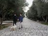 Необичайно топло за януари в Гърция
