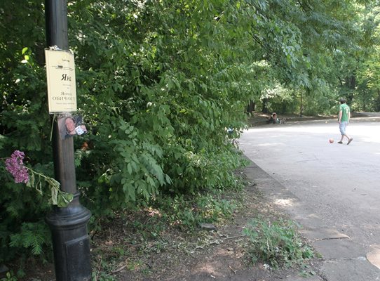 Мястото в Борисовата градина в София, където беше открита мъртвата Яна.