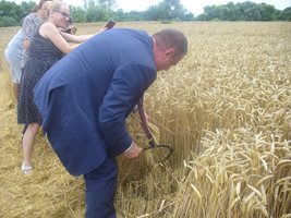 Стопаните притеснени заради нелегален внос на зърно от Украйна