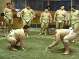 Даниел Иванов - Аоияма завърши турнира по сумо в Токио със загуба