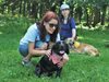 Търсят стопани на 10 улични кучета в Борисовата градина
