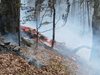 Пожарът, който гори в Гърция, е на 1,5 километра от българската граница