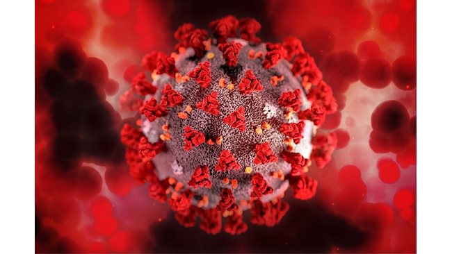 72 856 са новозаразените с коронавирус са регистрирани в Турция