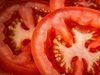 Откриха защо доматите губят вкуса си в хладилника