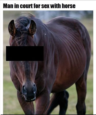 Порно видео Секс на коне. Смотреть Секс на коне онлайн