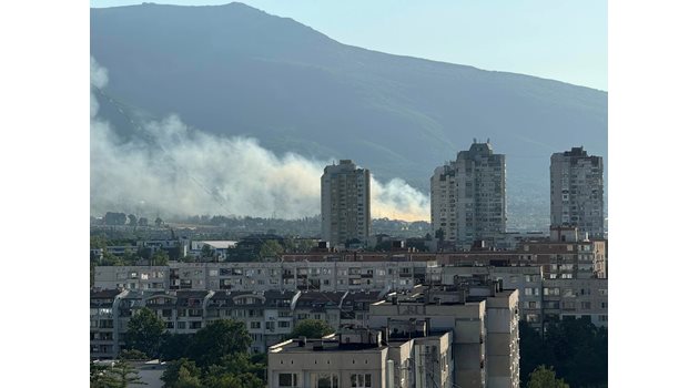 Пожар гори в подножието на Витоша 
СНИМКА: Facebook/Забелязано в София