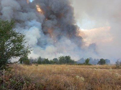 Пожарът в село Елшица е на километър от последните къщи.