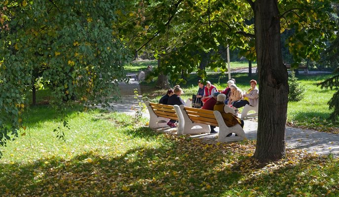 Все по-малко хора успяват да се пенсионират с пълен стаж и възраст. СНИМКИ: “24 ЧАСА”