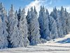 20 см снежна покривка в Пампорово