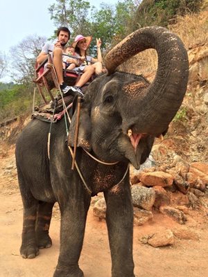 Ромина със съпруга си и сина им върху слона в Тайланд    СНИМКА: ФЕЙСБУК